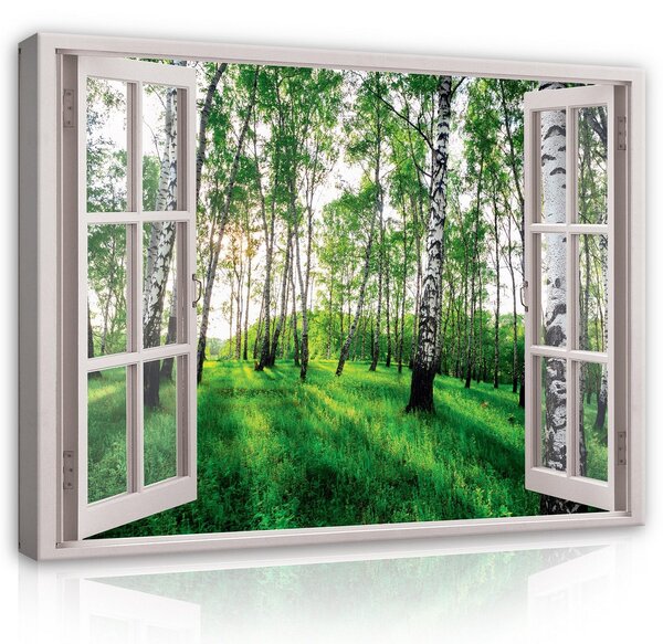 Obraz na plátně: 3D Effect Window Birch Forest View - 80x60 cm