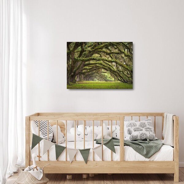 Skleněný obraz - Oaks Avenue, Charleston, Jižní Karolína, USA (70x50 cm)