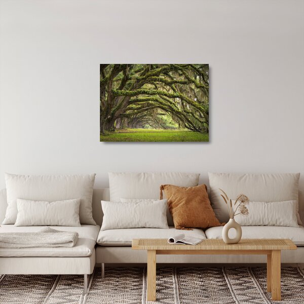 Skleněný obraz - Oaks Avenue, Charleston, Jižní Karolína, USA (70x50 cm)