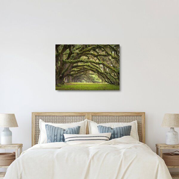 Skleněný obraz - Oaks Avenue, Charleston, Jižní Karolína, USA (70x50 cm)