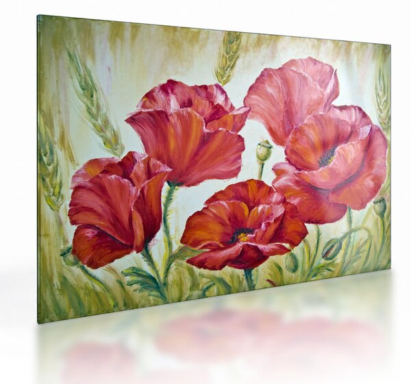 Skleněný obraz - Květy vlčích máků (70x50 cm)