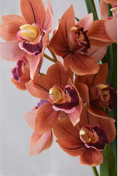 Umělá orchidej v krémovém květináči ORCHIDEA, výška 95 cm, oranžová
