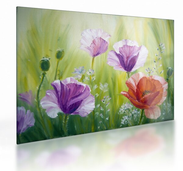 Skleněný obraz - Vlčí máky (70x50 cm)
