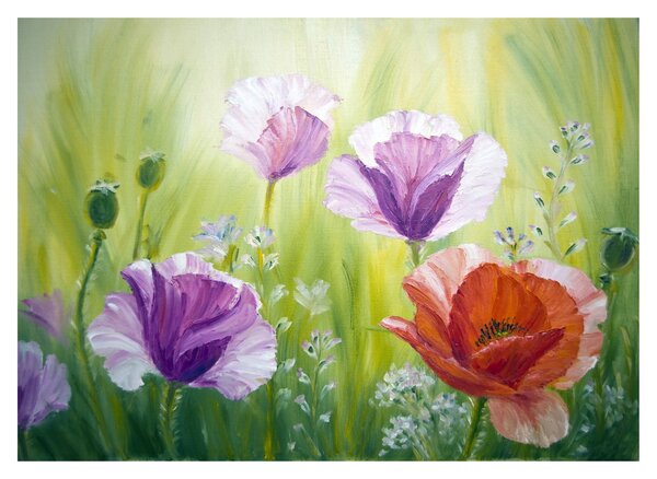 Skleněný obraz - Vlčí máky (70x50 cm)