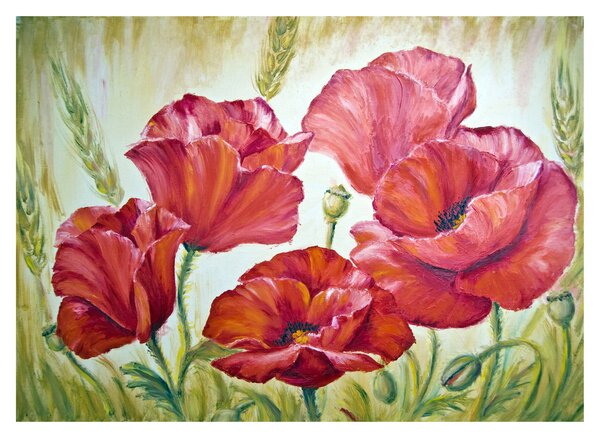 Skleněný obraz - Květy vlčích máků (70x50 cm)