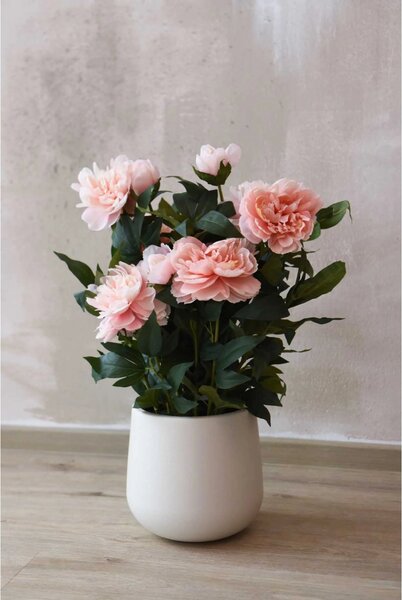 Eshop-kvetinace.cz Umělá pivoňka v krémovém květináči PEONY, výška 70 cm, růžová