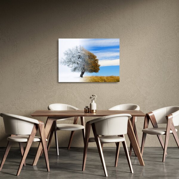Skleněný obraz - Změna ročního období (70x50 cm)
