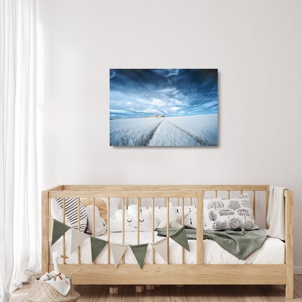 Skleněný obraz pole (70x50 cm)