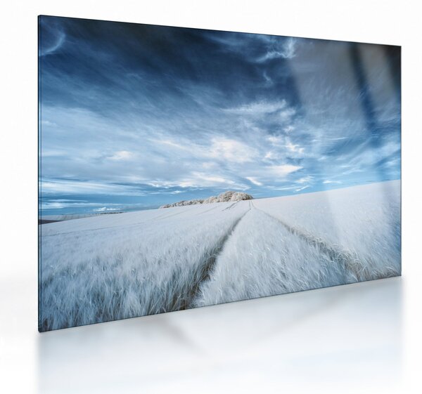 Skleněný obraz pole (70x50 cm)