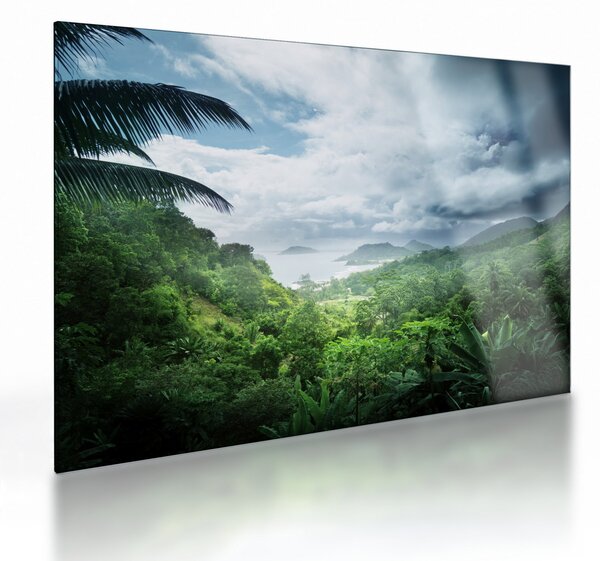 Skleněný obraz - Seychelská jungle (70x50 cm)