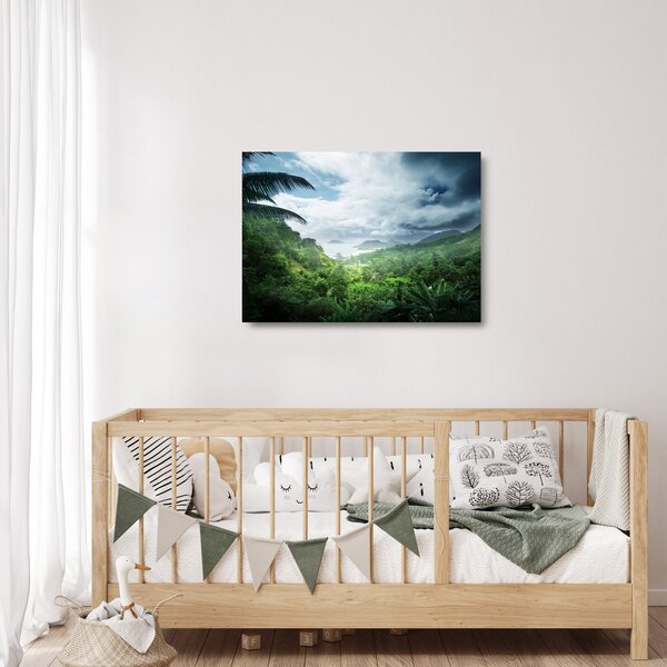 Skleněný obraz - Seychelská jungle (70x50 cm)