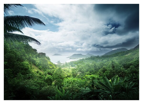 Skleněný obraz - Seychelská jungle (70x50 cm)