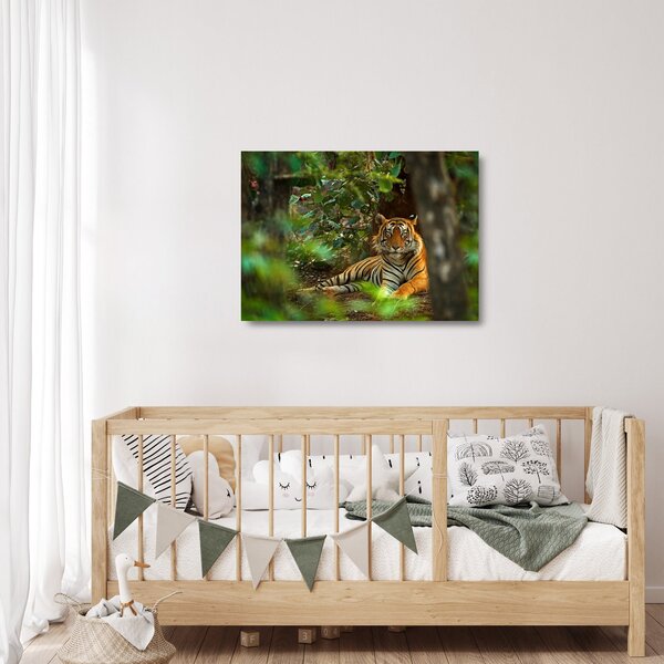 Skleněný obraz odpočívajícího tygra (70x50 cm)