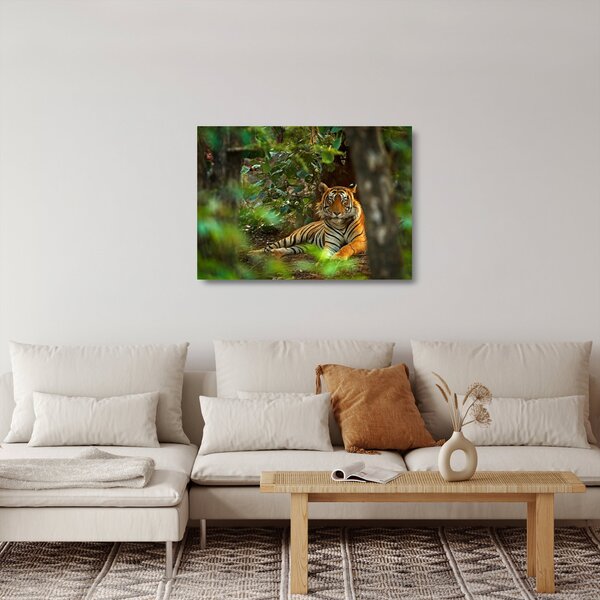 Skleněný obraz odpočívajícího tygra (70x50 cm)