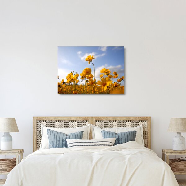 Skleněný obraz pole s jasně žlutými květy (70x50 cm)