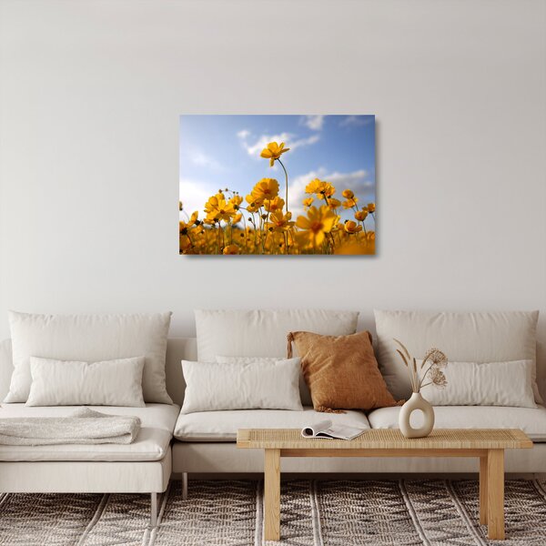 Skleněný obraz pole s jasně žlutými květy (70x50 cm)