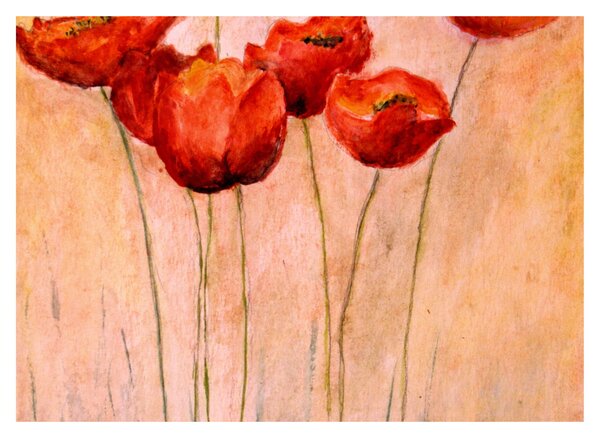 Skleněný obraz - Červené tulipány (70x50 cm)