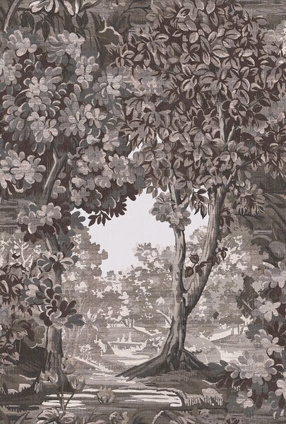 Vliesová tapeta na zeď, hnědo-šedá, stromy, 127903, Arboretum, Graham Brown Premium