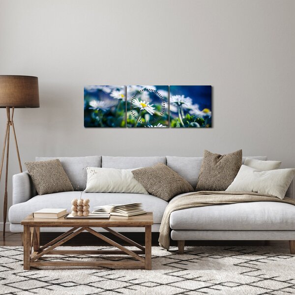 Obraz sedmikrásek (s hodinami) (90x30 cm)
