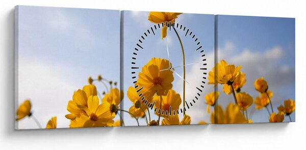 Obraz pole s jasně žlutými květy (s hodinami) (90x30 cm)