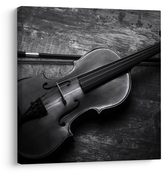 Obraz - Viola (30x30 cm)