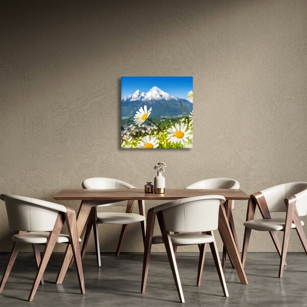 Obraz - Jaro v Alpách (30x30 cm)
