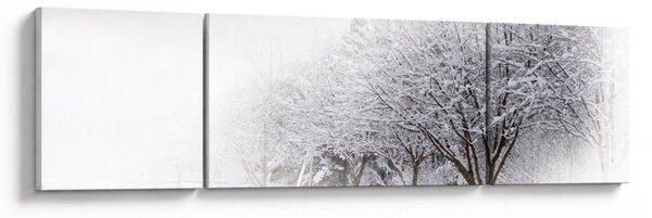 Obraz - Zimní alej (170x50 cm)