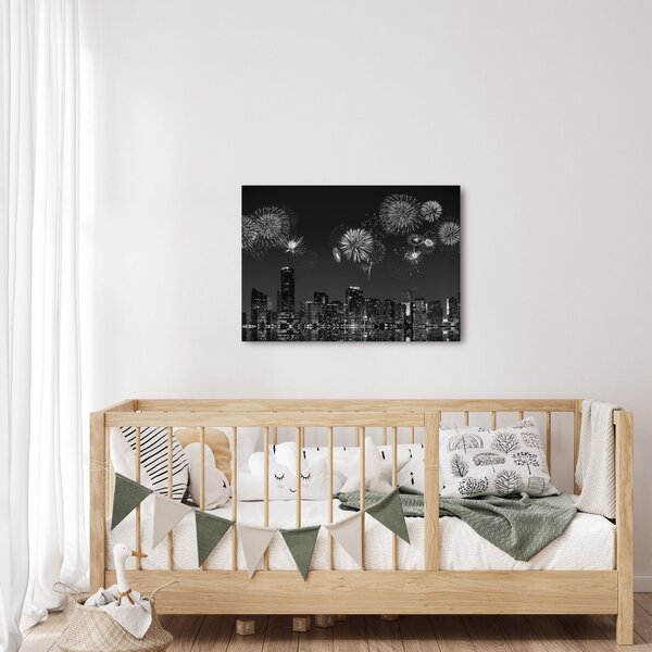 Obraz - Ohňostroj v Miami, černobílá (70x50 cm)