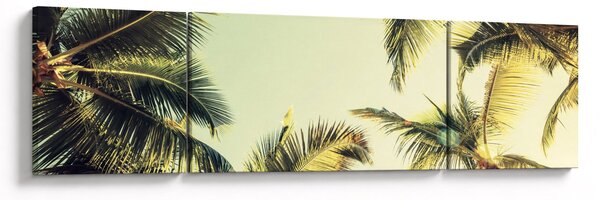 Obraz s kokosovými palmami (170x50 cm)