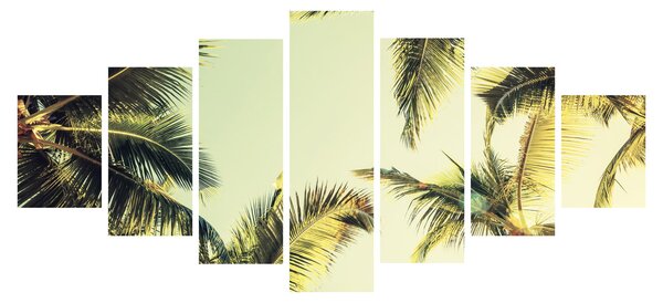 Obraz s kokosovými palmami (210x100 cm)