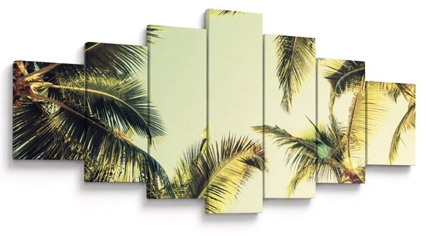 Obraz s kokosovými palmami (210x100 cm)