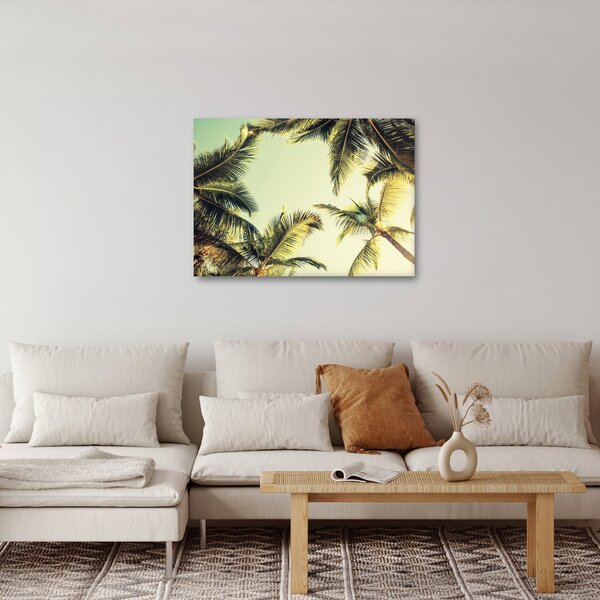 Obraz s kokosovými palmami (70x50 cm)
