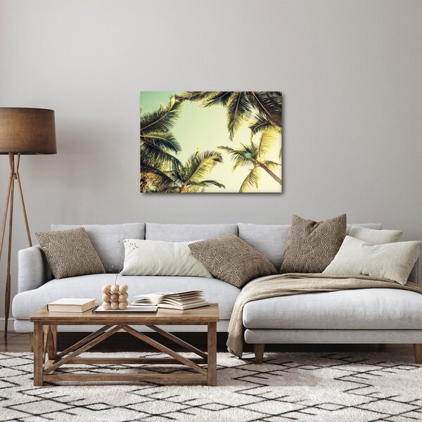 Obraz s kokosovými palmami (70x50 cm)