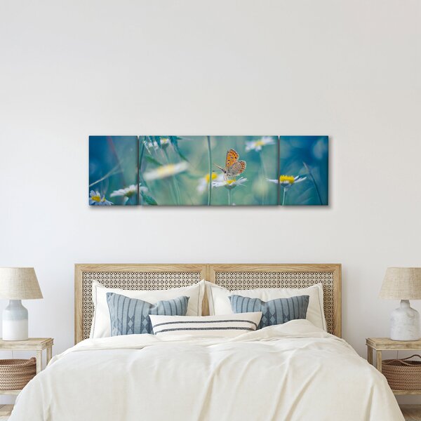 Obraz - Motýl na sedmikrásce (170x50 cm)