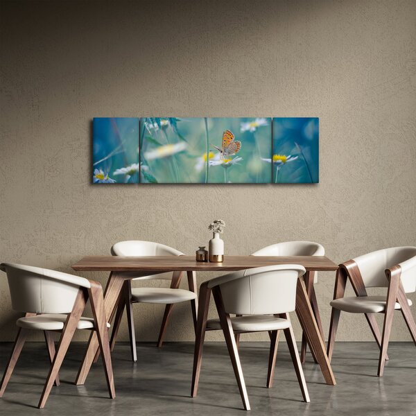 Obraz - Motýl na sedmikrásce (170x50 cm)