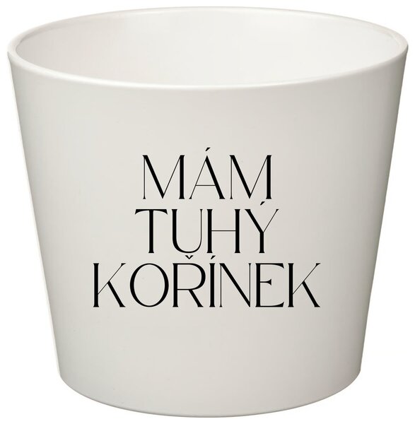 MÁM TUHÝ KOŘÍNEK - malý květináč