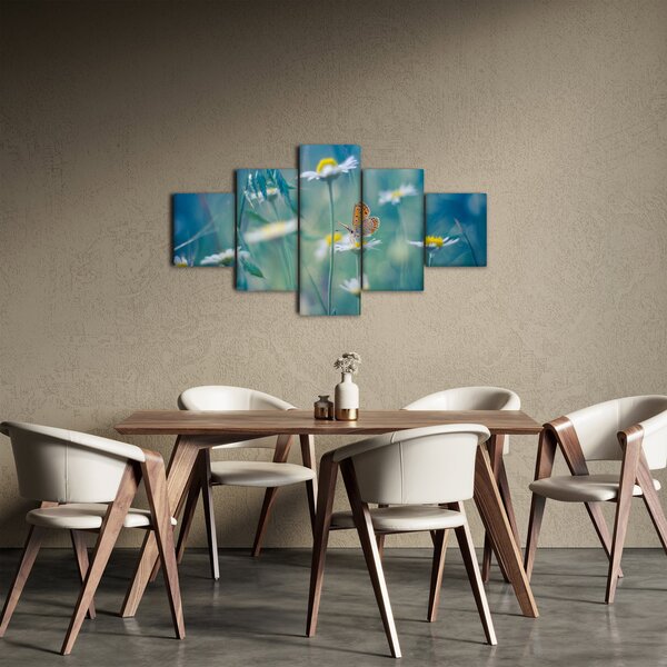Obraz - Motýl na sedmikrásce (125x70 cm)