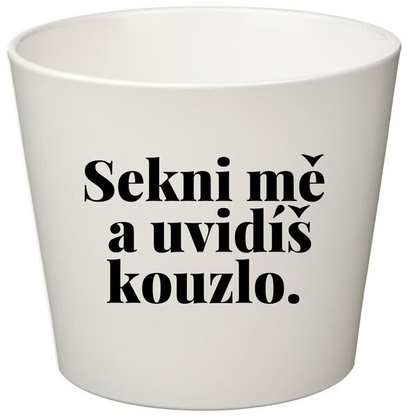SEKNI MĚ A UVIDÍŠ KOUZLO. - malý květináč