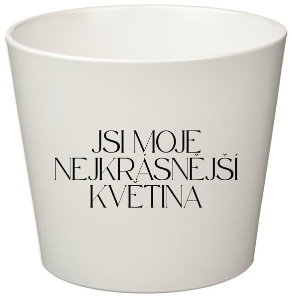 JSI MOJE NEJKRÁSNĚJŠÍ KVĚTINA - malý květináč