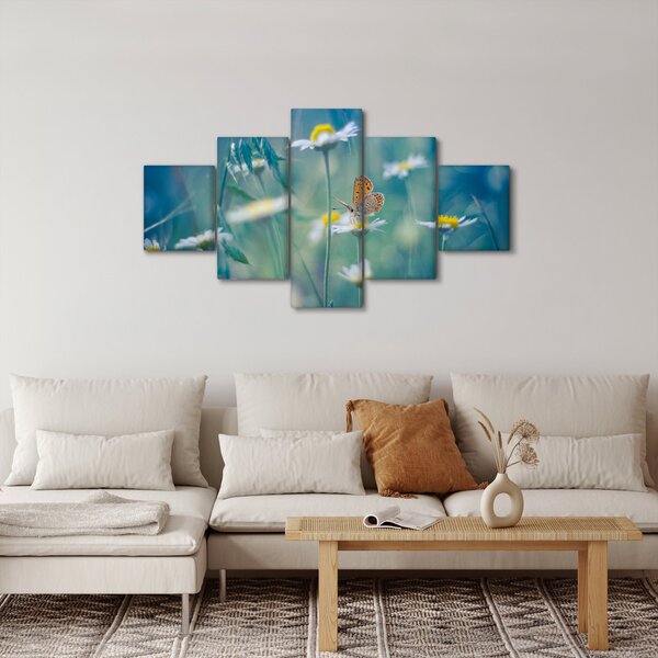 Obraz - Motýl na sedmikrásce (125x70 cm)