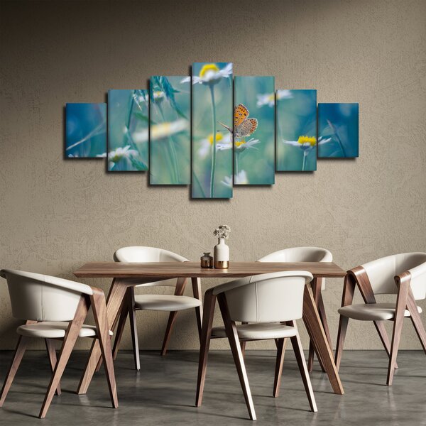 Obraz - Motýl na sedmikrásce (210x100 cm)
