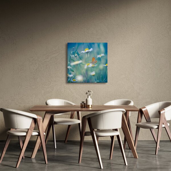 Obraz - Motýl na sedmikrásce (30x30 cm)