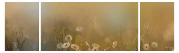 Obraz - Olejomalba sedmikrásek (170x50 cm)