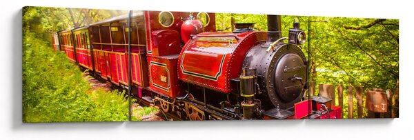 Obraz parního vlaku (170x50 cm)