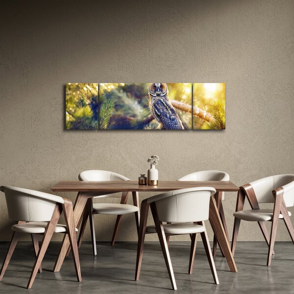 Obraz sovy na stromě (170x50 cm)