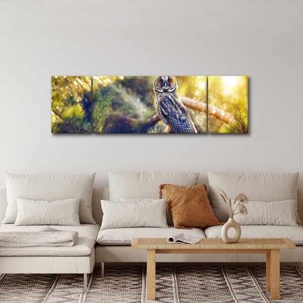 Obraz sovy na stromě (170x50 cm)