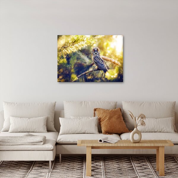 Obraz sovy na stromě (70x50 cm)