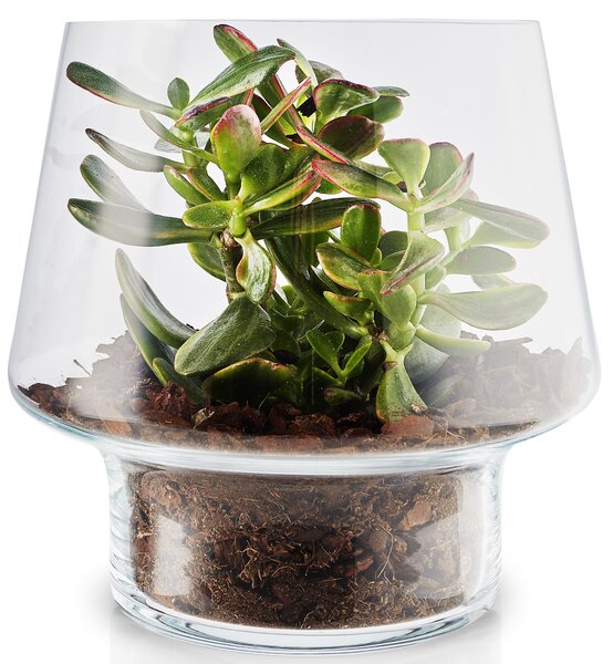 Eva Solo Succulent skleněná váza Ø21cm