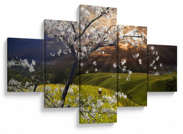 Obraz - Rozkvetlý strom v krajině (125x70 cm)