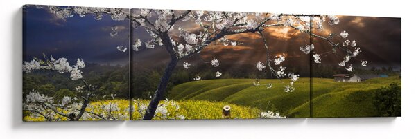 Obraz - Rozkvetlý strom v krajině (170x50 cm)